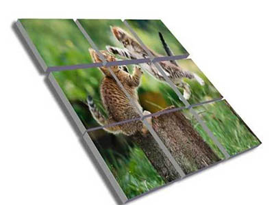 4photoshopir-Action-3d-pic-اکشن سه بعدی عکس فتوشاپ