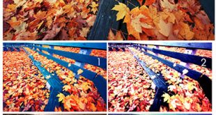 4photoshopir-Action-Autumn-color-اکشن رنگ پاییزی