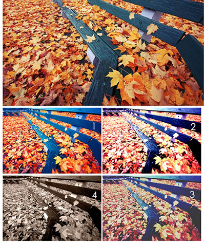 4photoshopir-Action-Autumn-color-اکشن رنگ پاییزی