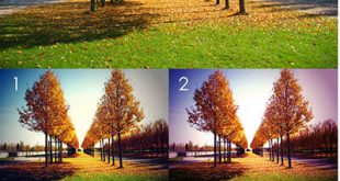 4photoshopir-Action-Nature-Color-اکشن رنگ طبیعت