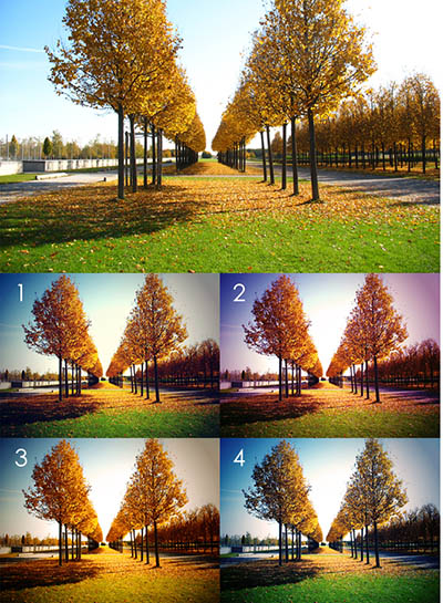 4photoshopir-Action-Nature-Color-اکشن رنگ طبیعت