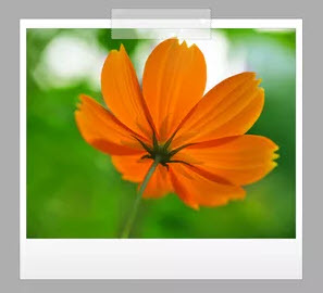 4photoshopir-Action-stickers-اکشن استیکر