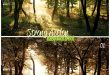 4photoshopir-Action-strong-sunlight-اکشن نور شدید