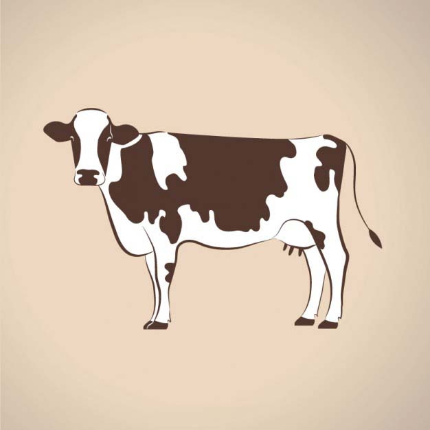 4photoshopir-Cow-pack1-وکتور گاو پک1