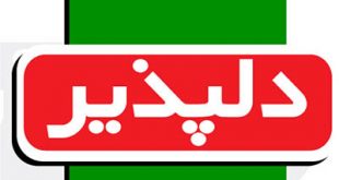 4photoshopir-Delpazir-vector-logo-لوگو دلپذیر وکتور