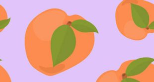 4photoshopir-Peach-vector-pack1-وکتور هلو پک1