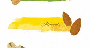 4photoshopir-Pistachios-pack2-وکتور پسته پک2