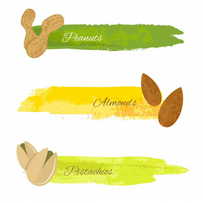 4photoshopir-Pistachios-pack2-وکتور پسته پک2