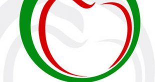 4photoshopir-Salamat-vector-logo-لوگو شبکه سلامت