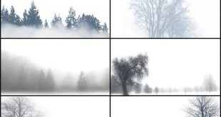 4photoshopir-Trees-pack2-براش درخت