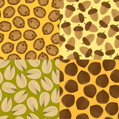 4photoshopir-Walnut-pack2-وکتور گردو پک2