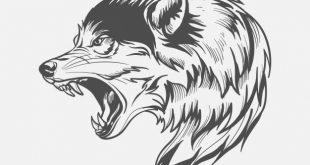 4photoshopir-Wolf-vector-pack1-وکتور گرگ پک1