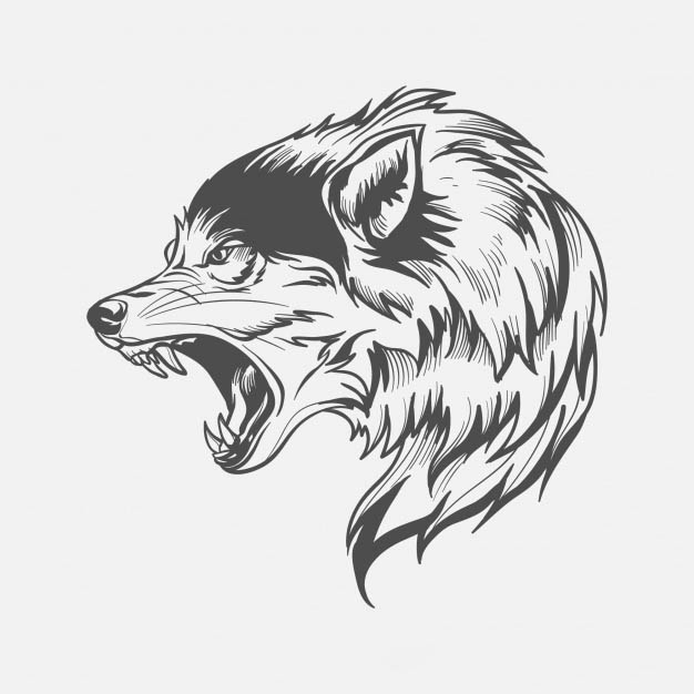 4photoshopir-Wolf-vector-pack1-وکتور گرگ پک1