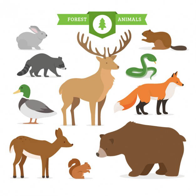 4photoshopir-bear-vector-pack1-وکتور خرس پک1