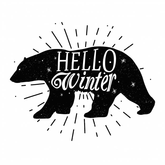 4photoshopir-bear-vector-pack2-وکتور خرس پک2