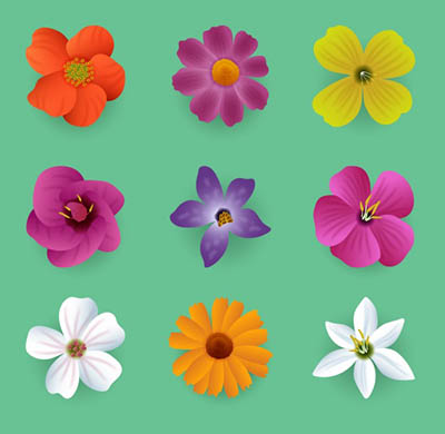 4photoshopir-blossom-vector-pack2-وکتور شکوفه پک2
