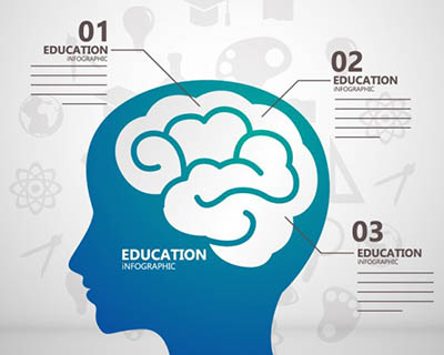 4photoshopir-brain-pack2-وکتور مغز پک2