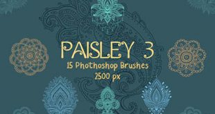 4photoshopir-brush-boteje-pack3-براش بته جقه پک3