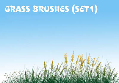 4photoshopir-brush-grass-pack1-براش چمن پک1