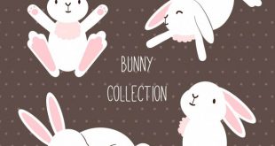 4photoshopir-bunnies-pack2-وکتور خرگوش پک2