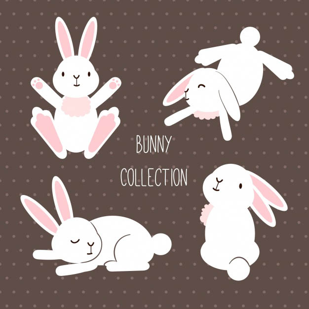 4photoshopir-bunnies-pack2-وکتور خرگوش پک2