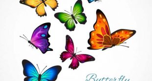 4photoshopir-butterfly-pack1