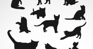 4photoshopir-cat-vector-pack1-وکتور گربه پک1