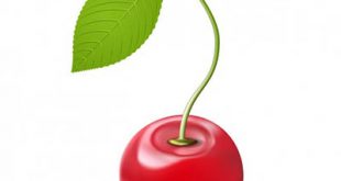 4photoshopir-cherry-vector-pack1-وکتور گیلاس پک1