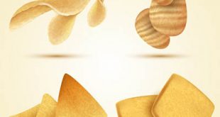 4photoshopir-chips-pack1-وکتور چیپس پک1