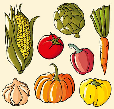 4photoshopir-corn-pack2-وکتور ذرت پک2