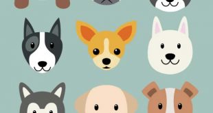 4photoshopir-dog-pack2-وکتور سگ پک2
