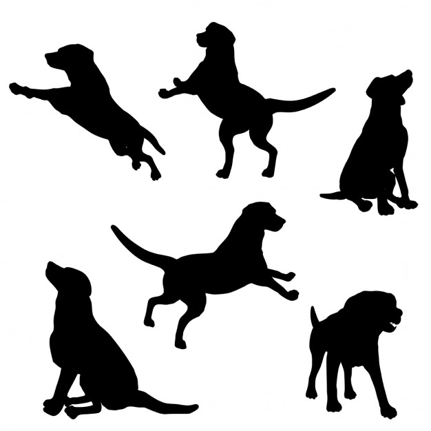 4photoshopir-dog-pack5-وکتور سگ پک5
