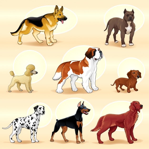 4photoshopir-dog-pack6-وکتور سگ پک6