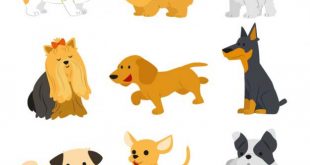 4photoshopir-dog-pack7-وکتور سگ پک7