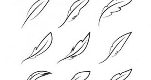 4photoshopir-feather-vector-pack1-وکتور پر پک1