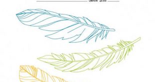 4photoshopir-feather-vector-pack2-وکتور پر پک2