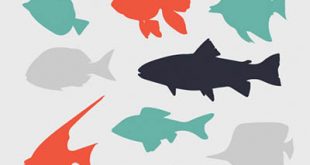 4photoshopir-fish-vector-pack1-وکتور ماهی پک1