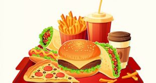 4photoshopir-fries-pack2-وکتور سیب زمینی سرخ کرده پک2