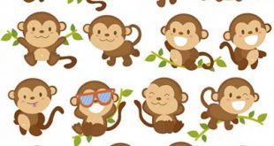 4photoshopir-monkey-vector-pack1-وکتور میمون پک1
