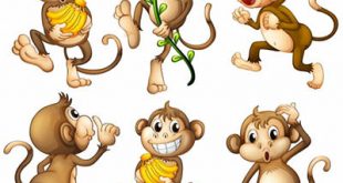 4photoshopir-monkey-vector-pack2-وکتور میمون پک2