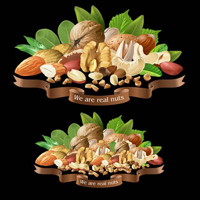 4photoshopir-nuts-pack1-وکتور آجیل پک1