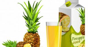 4photoshopir-pineapple-vector-pack2-وکتور آناناس پک2