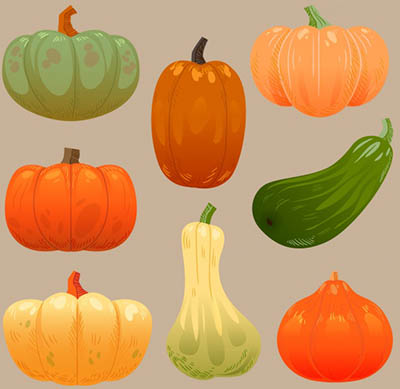 4photoshopir-pumpkin-pack1-وکتور کدو پک1
