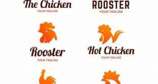 4photoshopir-rooster-vector1