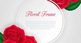 4photoshopir-rose-vector-pack2-وکتور گل رز پک2