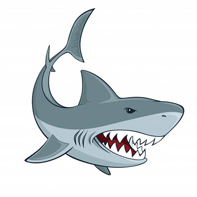 4photoshopir-shark-vector-pack1-وکتور کوسه پک1