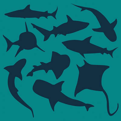 4photoshopir-shark-vector-pack2-وکتور کوسه پک2