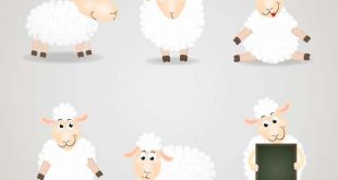 4photoshopir-sheep-pack1-وکتور گوسفند پک1