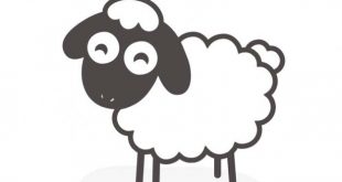 4photoshopir-sheep-pack2-وکتور گوسفند پک2