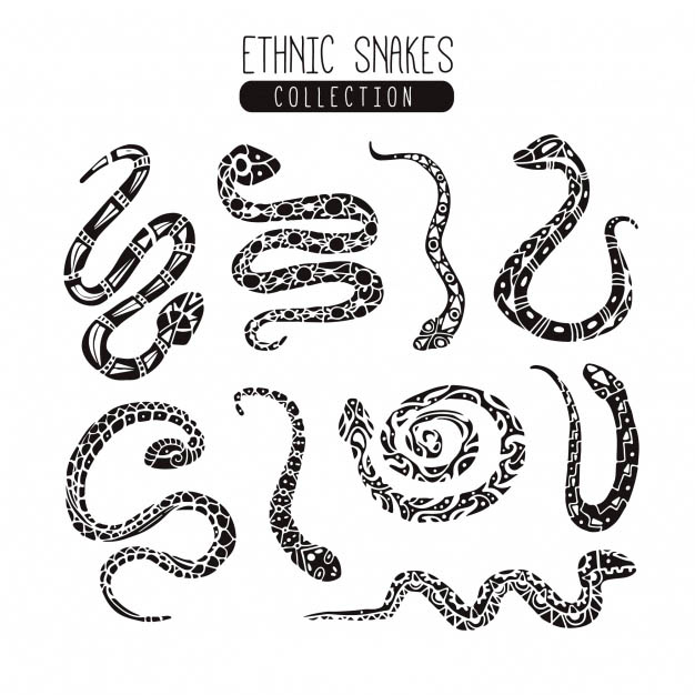 4photoshopir-snake-pack1-وکتور مار پک1